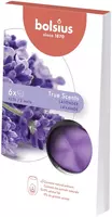 Bolsius waxmelts true scents lavender 6 stuks