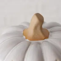Boltze Home ornament keramiek pompoen 10.5x9cm crème - afbeelding 2