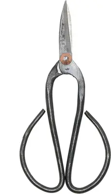 Bonsai snoeischaar Large - afbeelding 1