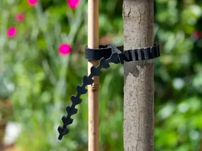 Boomband rattenstaartsl. l60cm 2st - afbeelding 2