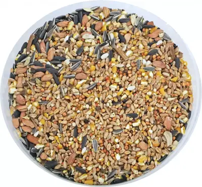 Boon 4-seizoenen strooivoer, emmer a 2.5 liter. - afbeelding 2