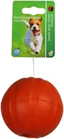 Boon apporteerbal drijvend+gat 9 centimeters oranje kopen?