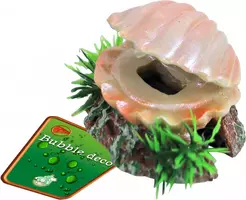 Boon aqua deco ornament bubbel polyresin schelp met uitstromer, 5,5 cm kopen?