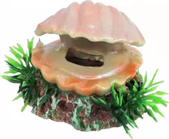 Boon aqua deco ornament bubbel polyresin schelp met uitstromer, 5,5 cm - afbeelding 2