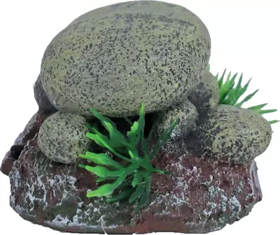 Boon aqua deco ornament bubbel polyresin stenen met uitstromer, 6 cm - afbeelding 3