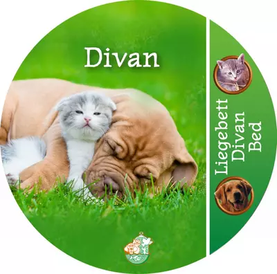 Boon Divan katten/honden mand groen 50x40 cm - afbeelding 5