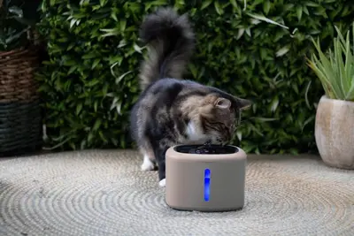 Boon Drinkfontein Aquabella Cappuccino – 2,5 liter - afbeelding 4