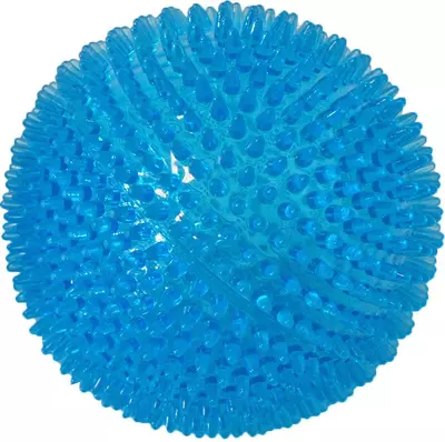 Boon hondenspeelgoed bal drijvend blauw 12,5 cm