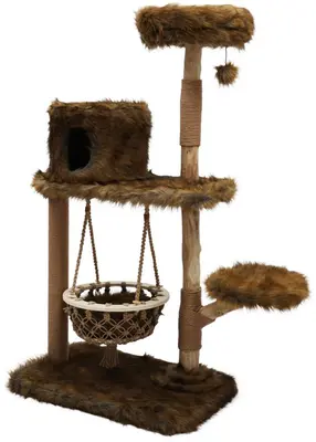 Boony Populus klimboom Grizzly bruin 151cm