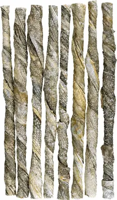 Braaaf zalm rollsticks 8 st. 20 cm - afbeelding 2