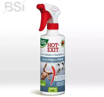 BSI Hot exit® 500ml