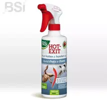 BSI Hot exit® 500ml kopen?