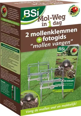 BSI Mol weg in 1 dag