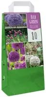 Bulb garden allium 80st - afbeelding 3