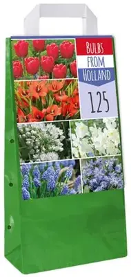 Bulbs from Holland 125 bloembollen - afbeelding 2