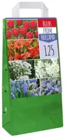 Bulbs from Holland 125 bloembollen - afbeelding 2