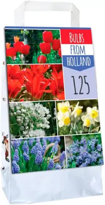 Bulbs from Holland 125 bloembollen - afbeelding 1
