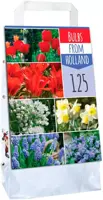 Bulbs from Holland 125 bloembollen - afbeelding 1