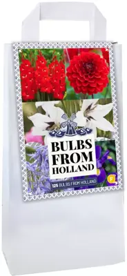Bulbs from holland 125 stuks - afbeelding 1