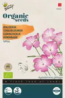 Buzzy® Agrostemma Bolderik Milas (BIO) - afbeelding 1