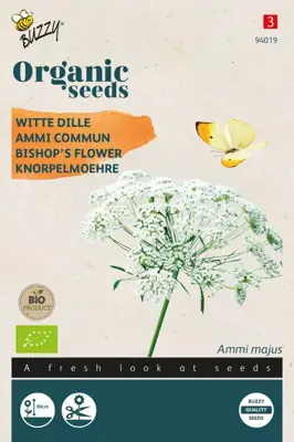 Buzzy® Ammi Majus, Witte Dille (BIO) - afbeelding 1