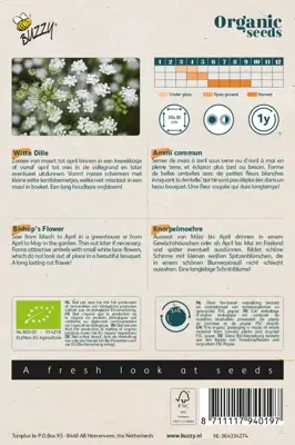 Buzzy® Ammi Majus, Witte Dille (BIO) - afbeelding 2