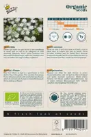 Buzzy® Ammi Majus, Witte Dille (BIO) - afbeelding 2
