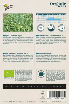 Buzzy® Andijvie Nummer Vijf 2 (BIO) - afbeelding 2