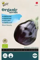 Buzzy® Aubergine Black Beauty (BIO) - afbeelding 1