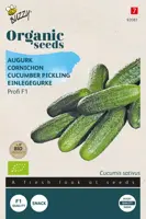 Buzzy® Augurk Profi F1 (BIO) - afbeelding 1