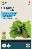 Buzzy® Aziatische Mesclun (BIO) - afbeelding 1