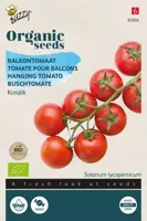 Buzzy® Balkontomaat Koralik (BIO) - afbeelding 1