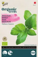 Buzzy® Basilicum - Italiano Classico (BIO) - afbeelding 1