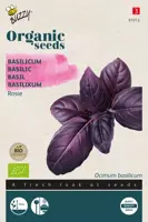 Buzzy® Basilicum Rosie (BIO) - afbeelding 1