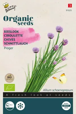 Buzzy® Bieslook Prager (BIO) - afbeelding 1
