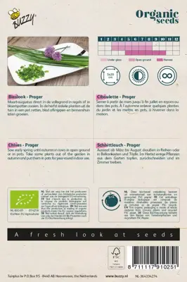 Buzzy® Bieslook Prager (BIO) - afbeelding 2