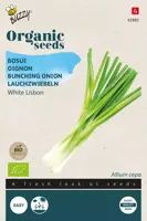 Buzzy® Bosui White Lisbon (BIO) - afbeelding 1