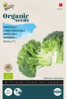 Buzzy® Broccoli Belstar F1 (BIO) - afbeelding 1
