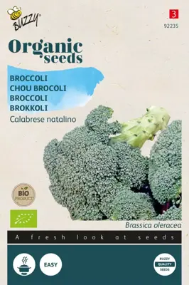 Buzzy® Broccoli Calabrese natalino (BIO) - afbeelding 1