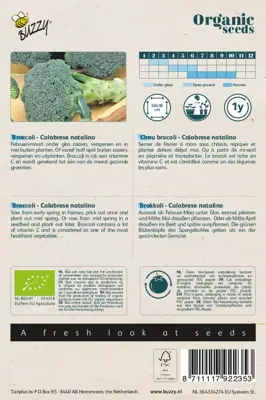 Buzzy® Broccoli Calabrese natalino (BIO) - afbeelding 2