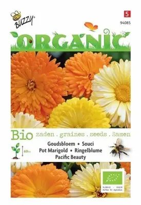 Buzzy® Calendula, Goudsbloem Pacific Beauty (BIO) - afbeelding 1