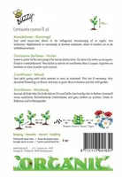 Buzzy® Centaurea, Korenbloem gemengd (BIO) - afbeelding 2