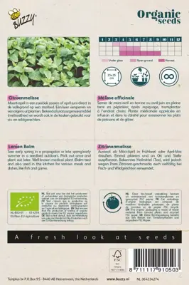 Buzzy® Citroenmelisse (BIO) - afbeelding 2