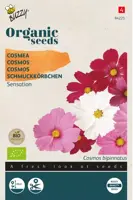 Buzzy® Cosmos Sensation (BIO) - afbeelding 1