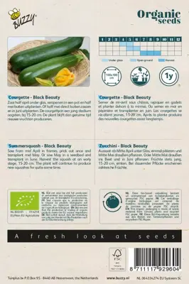 Buzzy® Courgette Black Beauty (BIO) - afbeelding 2
