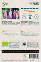 Buzzy® Delphinium, Ridderspoor Imperial (BIO) - afbeelding 2