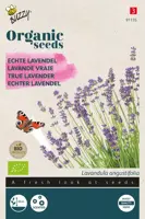 Buzzy® Echte Lavendel (BIO) - afbeelding 1