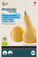 Buzzy® Eetbare Pompoen Waltham Butternut (BIO) - afbeelding 1