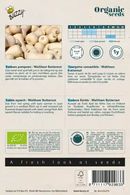 Buzzy® Eetbare Pompoen Waltham Butternut (BIO) - afbeelding 2