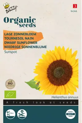 Buzzy® Helianthus, Lage zonnebloem Sunspot (BIO) - afbeelding 1